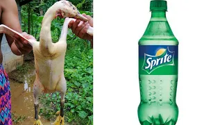 Kinulob na Bibe with Sprite