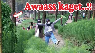 Tertawa sampai puas..!! Bushman Prank || Prank manusia pohon