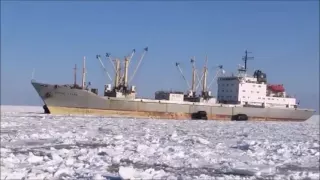 Ты бы знала какие у моря глаза голубые