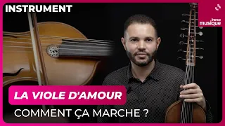 La viole d'amour, comment ça marche ? Par Jasser Haj Youssef - Culture Prime