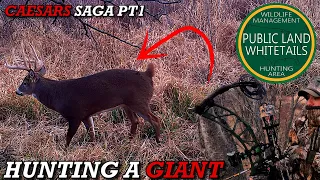 Hunting A Giant Buck On Public Land | Closing The Distance On A Monster Whitetail | Caesars saga pt1