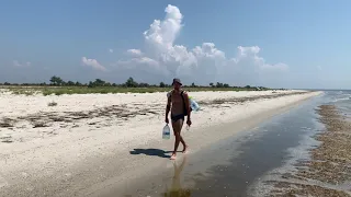 Острів Джарилгач 🏝Українські Мальдіви