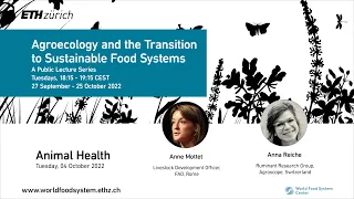 Focus on Animal Health: Agroecology and the Transition to Sustainable Food Systems