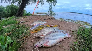 "IMPRESIONANTE PESCA"Dorados con boya y Bagres Gigantes de costa,los pozos de 20 metros-NICO REYNOSO