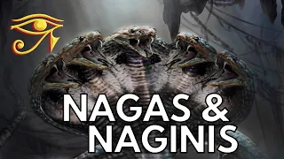 The Nagas & Naginis | Serpentine Beings of Indian Legend