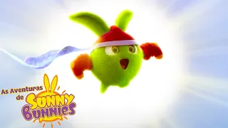 Super Coelhinho | As Aventuras de Sunny Bunnies | Desenhos Animados Infantis