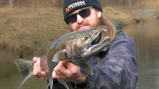 Catching a SUPER RARE fish while Float Fishing for STEELEHEAD