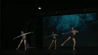 Complexity Dance Center - Wonderland