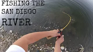 Fishing the SAN DIEGO RIVER w/ MINIATURE UNDERSPIN!!!