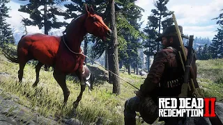 Laçando o PURO SANGUE ÁRABE VERMELHO e muito mais - Red Dead Redemption 2