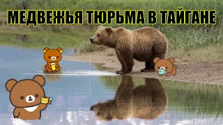 Зубков издевается над медведями в Тайгане! #Тайган #СтопЗубков #НародноеСлово #ВелесМастер