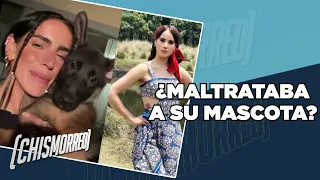 Se le va en contra por no cuidar a su mascota | El Chismorreo