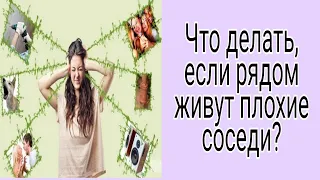 Что делать, если рядом плохие соседи? | Тайна Жрицы |