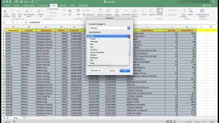 Excel all versions. The efficient use of Sort and Filter for all users