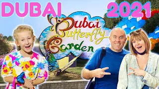 Дубай 2021. Dubai Butterfly Garden. Парк Бабочек в Дубае.