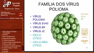 Curso de VIROLOGIA - Aula 05 de Virologia Vírus de DNA Estratégias de Replicação 2