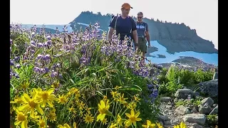 2017-08-30 Ptarmigan Ridge at Mount Baker