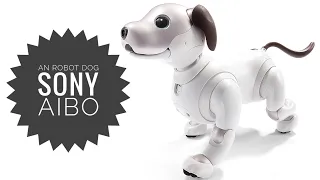 Introducing Sony Aibo