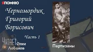 Черномордик Григорий Борисович. Часть 1. Проект "Я помню" Артема Драбкина. Партизаны