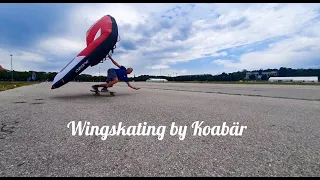 Windskate, Wingskating with Koabär Surfskateboards and Ozone Wings