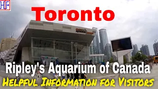 Toronto - Ripley's Aquarium of Canada - Helpful Information for new visitors | Episode# 7