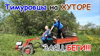 Тимуровцы на хуторе.Заяц,беги!!!