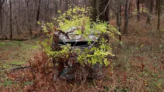 Ground Blind Tips