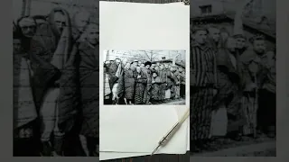 27 de Janeiro | Lembranças do Holocausto | #shorts  #historia #curiosidades