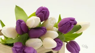 *** - Pleasant Moments -Music Karen Sargsyan - Beautiful Purple Tulips  - ***