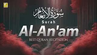 Surah Al-An'am - سورة الأنعام | Beautiful Quran Recitation | Zikrullah TV