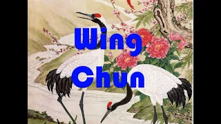 La GRAN MAESTRA OCULTA del WING CHUN