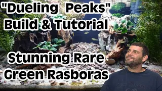 Dueling Peaks Aquascape: Rare Rasboras And Mesmerizing Hardscape (tutorial)