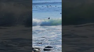 Surfing in Kommetjie, South Africa