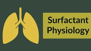 Surfactant | Physiology Review - 200 MCQ , 2016