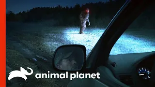 Witness Recalls Frightening Encounter With Bigfoot | Finding Bigfoot