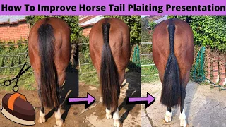 How To Improve Show Horse Tail Plaiting Presentation | How to Plait a Show Horse's Tail