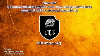 СРЦ №5 - цикл под жимовика среднего уровня. Жим стоя в приоритете.