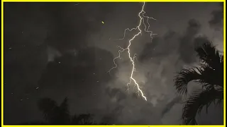 Rumbling Storm Equatorial Ambience - Tropical Thunderstorm & Rain Sounds For Sleeping, Relaxing