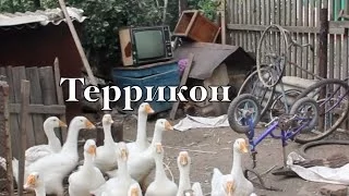 документальный фильм "Террикон"