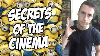 11 Things You NEVER Knew About Minions!!!