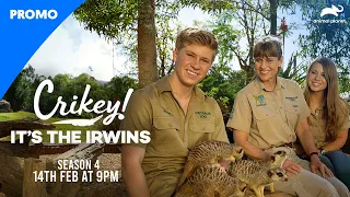 Crikey! it's the Irwins - Promo | Season 4 | 14th Feb @9PM | Robert | Bindi | Terri | Animal Planet