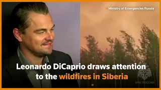 Activists ask DiCaprio for help with Siberian fires