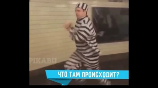 Отборочка на ютубе лучшие приколы 2017