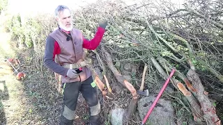 Farmer know how: how to lay a hedge