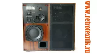 Speaker system Radiotehnika "35 ° C-1" of the USSR in 1977