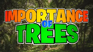 Importance of Trees🌳 | About Trees ,Types,Uses,etc (Grade 1-4)