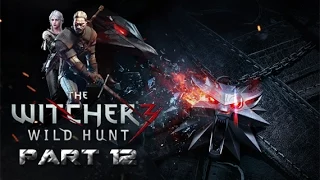 The Witcher: Wild Hunt - Part 12