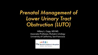 4.14.2020 PedsUroFLO Lecture - Prenatal Management of LUTO