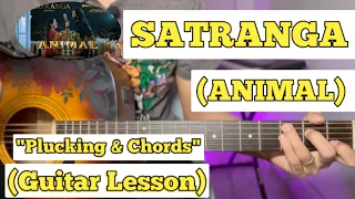 SATRANGA - ANIMAL | Guitar Lesson | Plucking & Chords | (Arijit Singh)