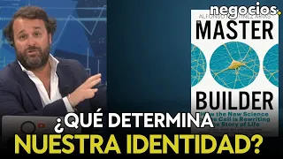 Revolución científica: ¿Y si los genes no definen la singularidad de una persona? Los gastruloides